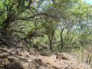 Sleeping Giant Trail